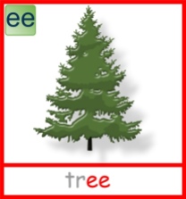 Tree animation